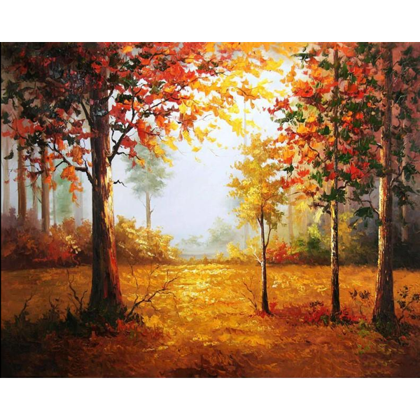 Autumn woods Painting By Numbers UK