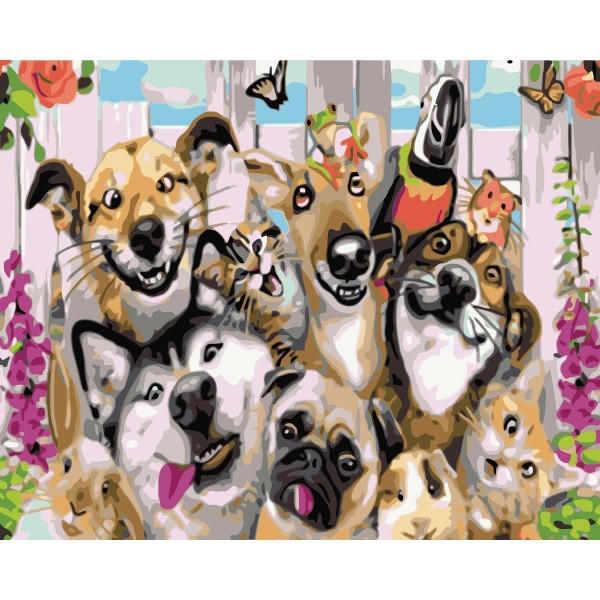 A group of pets Painting By Numbers UK