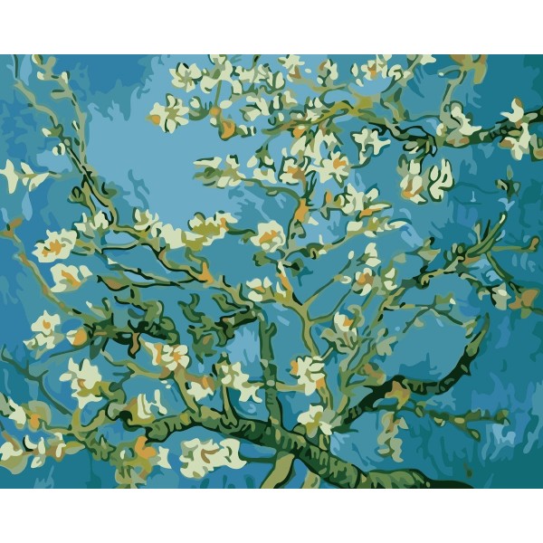 Apricot blossom Painting By Numbers UK