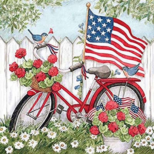 American Flag Bicycle Painting By Numbers UK