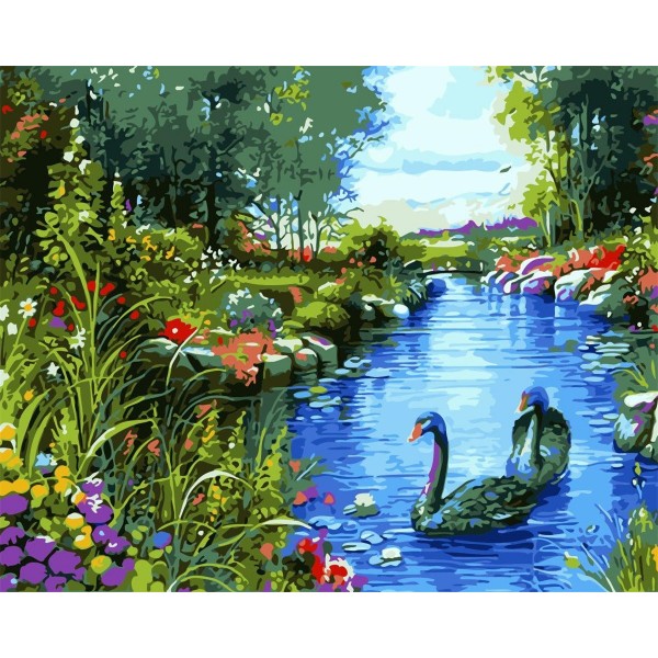 Swan in the water Painting By Numbers UK