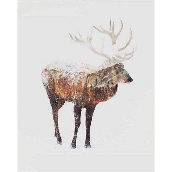 The combination of elk and scenery Painting By Numbers UK