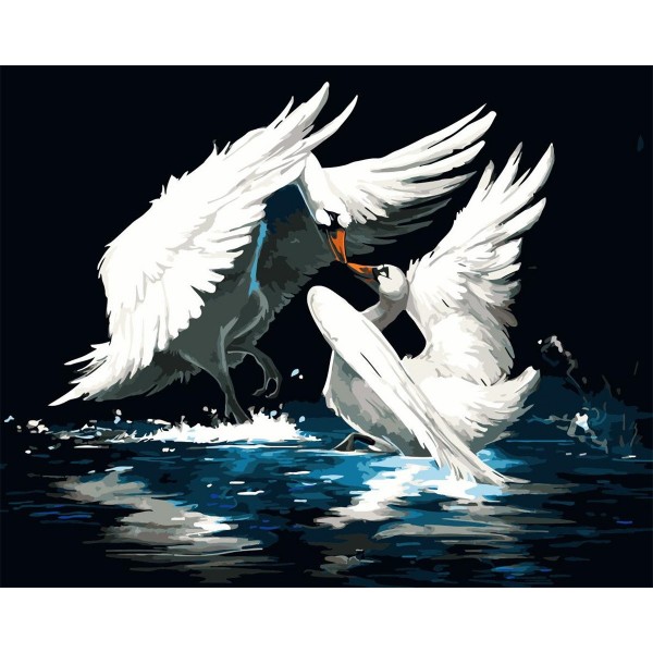 Swan kissing Painting By Numbers UK