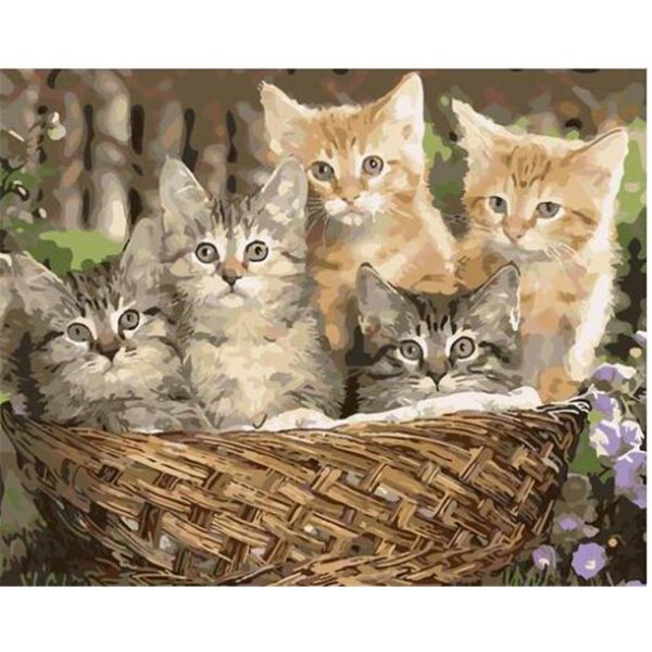 Cute kittens Painting By Numbers UK