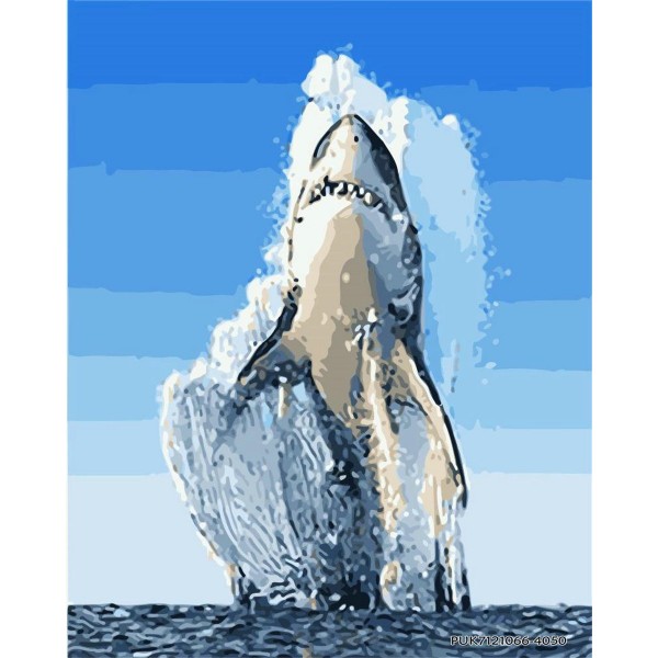 Blue whale Painting By Numbers UK