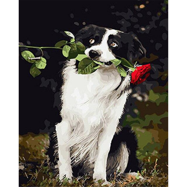 Border Collie holds the rose in its mouth Painting By Numbers UK