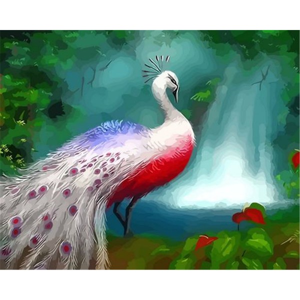 White peacock Painting By Numbers UK