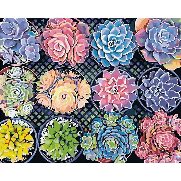 Colored succulents Painting By Numbers UK