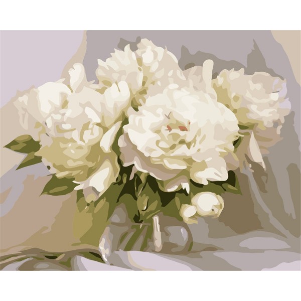 White peony Painting By Numbers UK