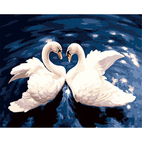 Swan companion Painting By Numbers UK