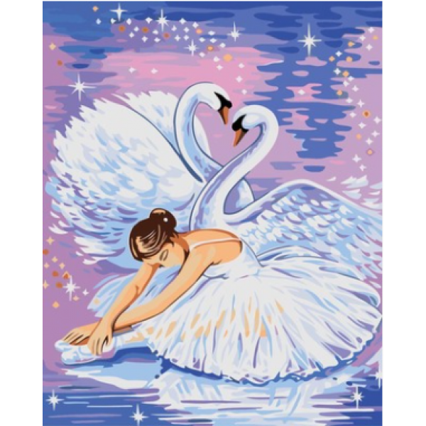Swan fairy Painting By Numbers UK