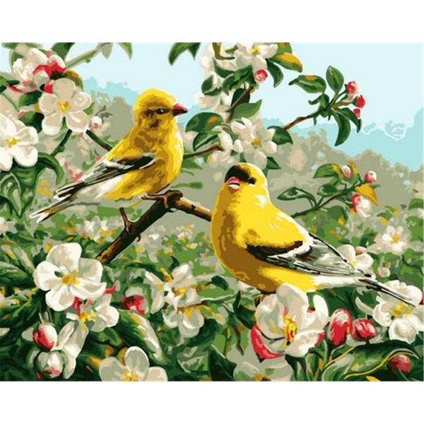 Warbler Painting By Numbers UK