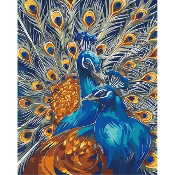 Two peacocks Painting By Numbers UK