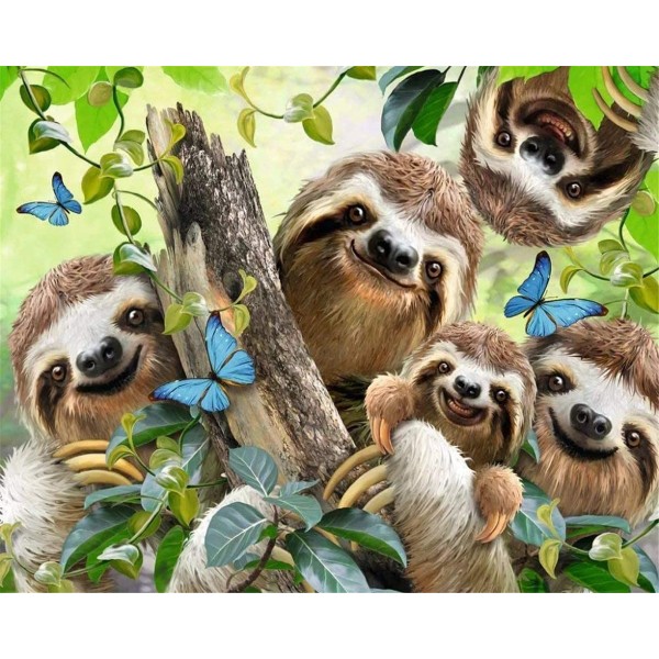 Sloths family Painting By Numbers UK