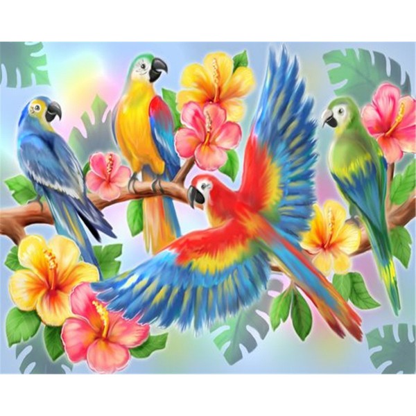 Cute Macaws Painting By Numbers UK