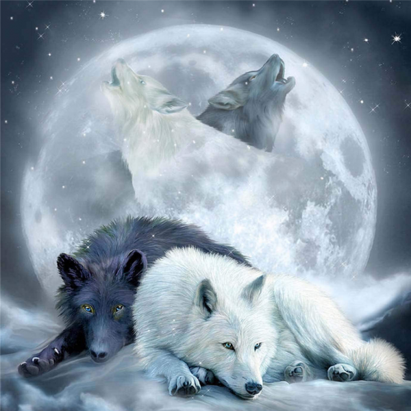 Black fox and white fox in the moonlight Painting By Numbers UK