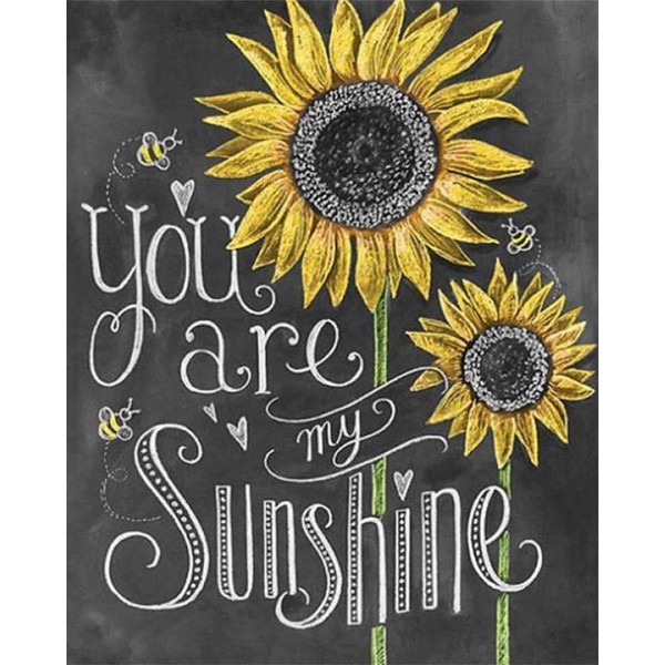 you are My Sunshine Painting By Numbers UK