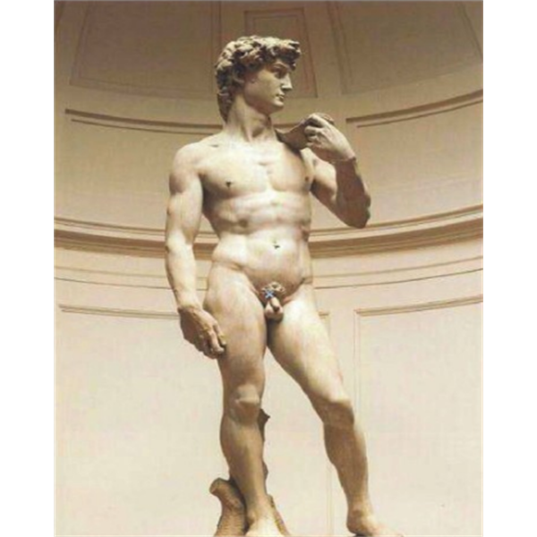 Classic sculpture David Painting By Numbers UK