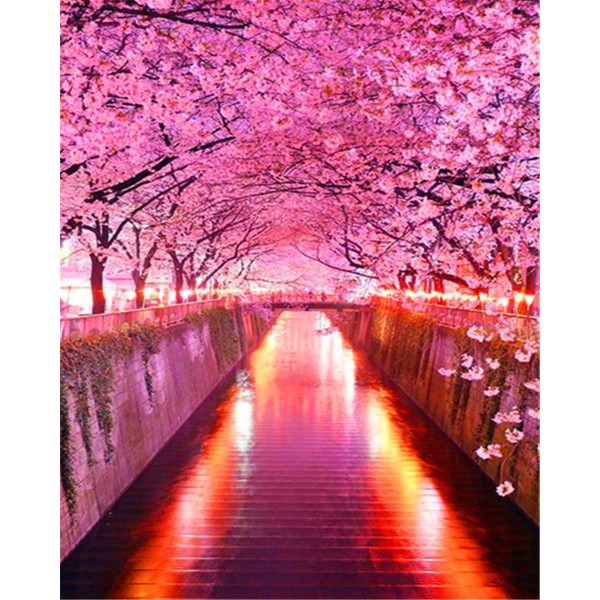 Cherry blossom Painting By Numbers UK