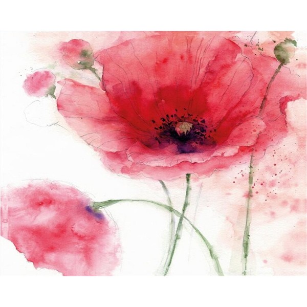 Watercolor poppies Painting By Numbers UK