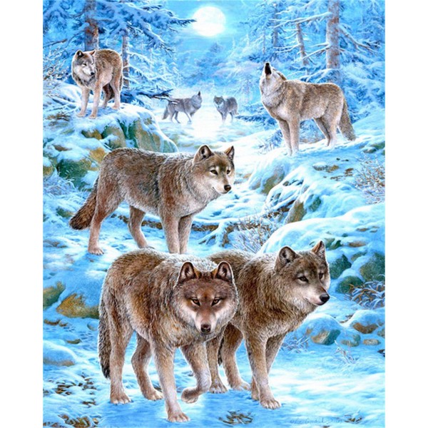 Wolves on the snow Painting By Numbers UK