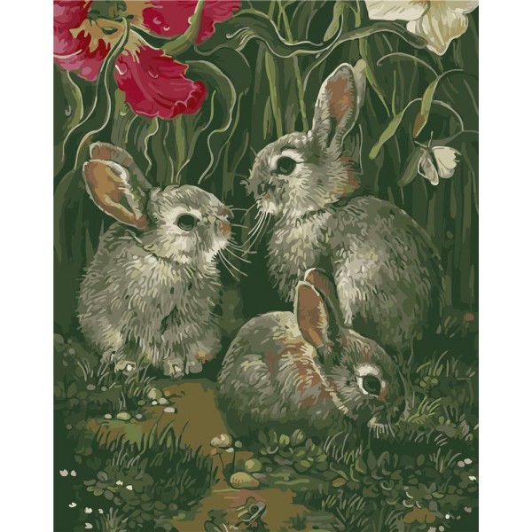 Rabbit Painting By Numbers UK