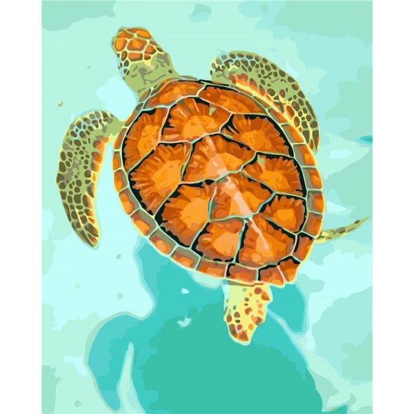 Tortoise Painting By Numbers UK
