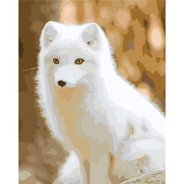 White fox Painting By Numbers UK