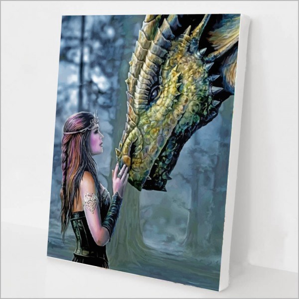 Woman and Dragon Painting By Numbers UK