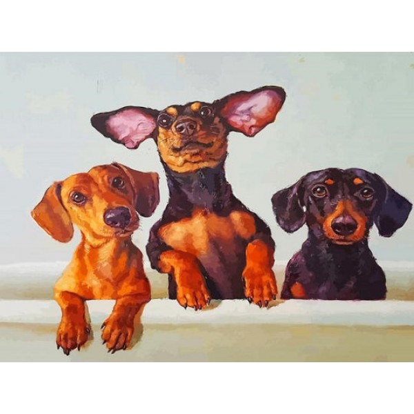 three puppies -- 40*50cm Painting By Numbers UK
