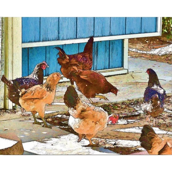 Flock of chickens - 40*50cm Painting By Numbers UK
