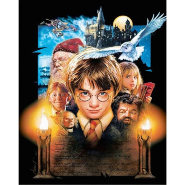 Harry Potter Painting By Numbers UK
