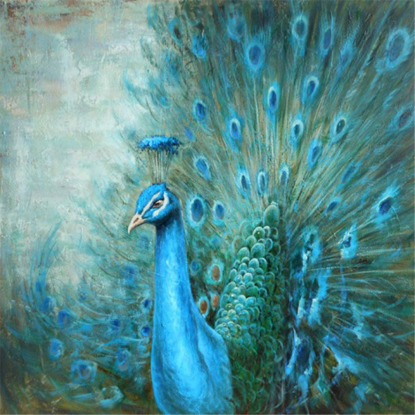 Green peacock Painting By Numbers UK
