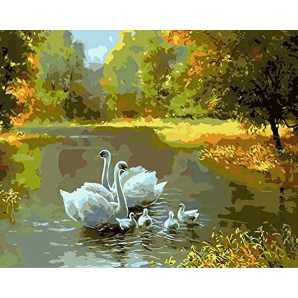  Swan family Painting By Numbers UK