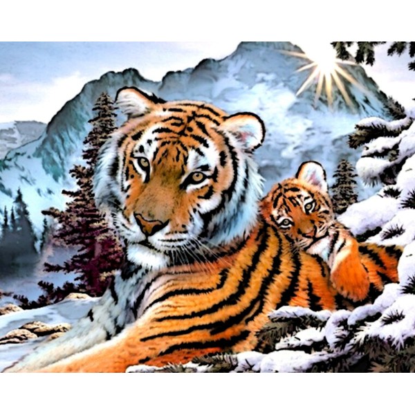  Tiger Father and Son Painting By Numbers UK