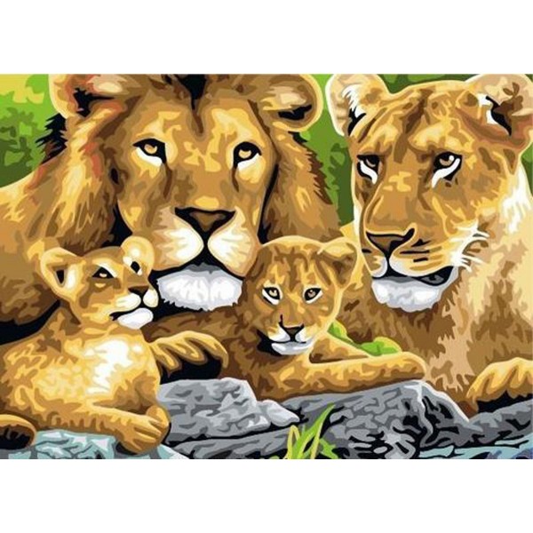  Animal Lion family Painting By Numbers UK
