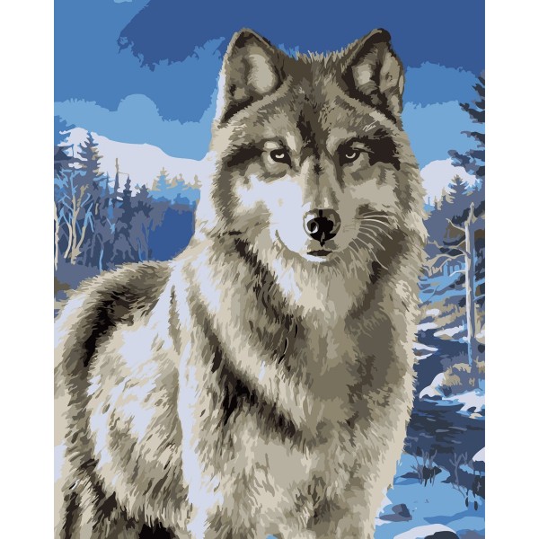 Animal wolf Painting By Numbers UK