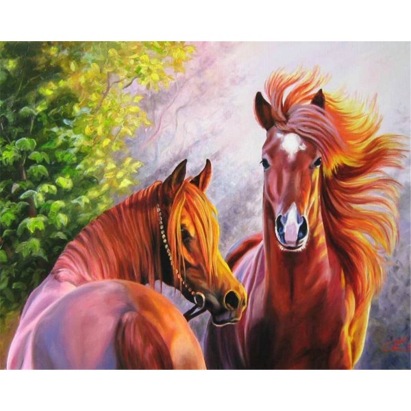 Two horses Painting By Numbers UK