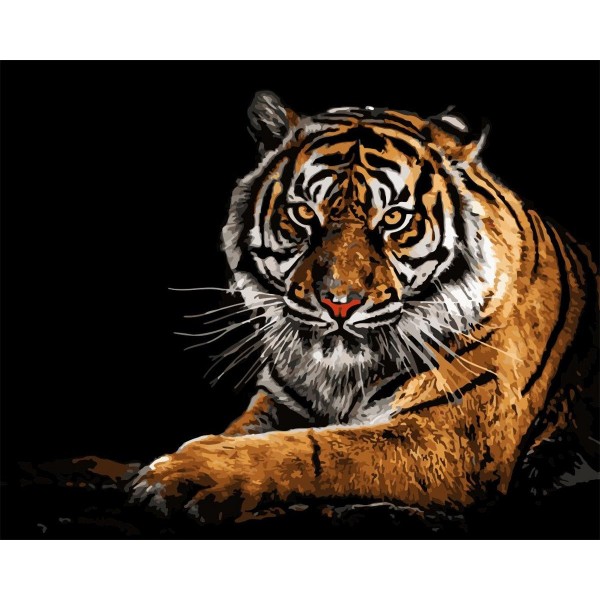 Sumatran Tiger Painting By Numbers UK