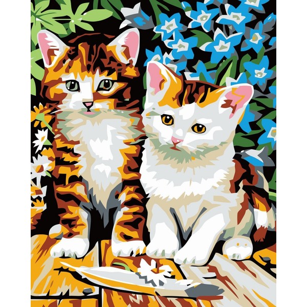  Animal Cat babies Painting By Numbers UK