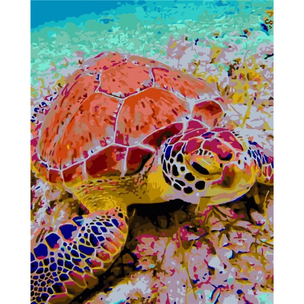 Sea Turtle Painting By Numbers UK