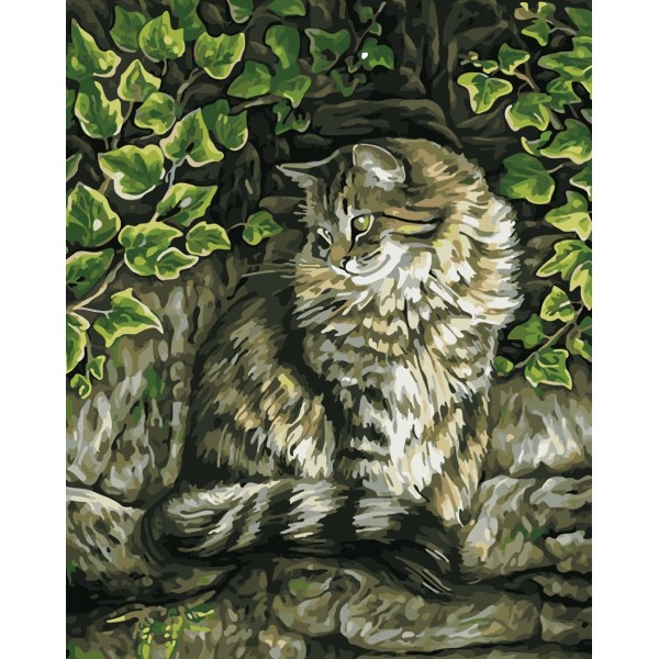  Animal Lonely Cat Painting By Numbers UK