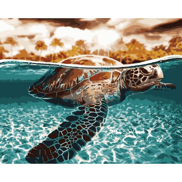  Animal turtle Painting By Numbers UK
