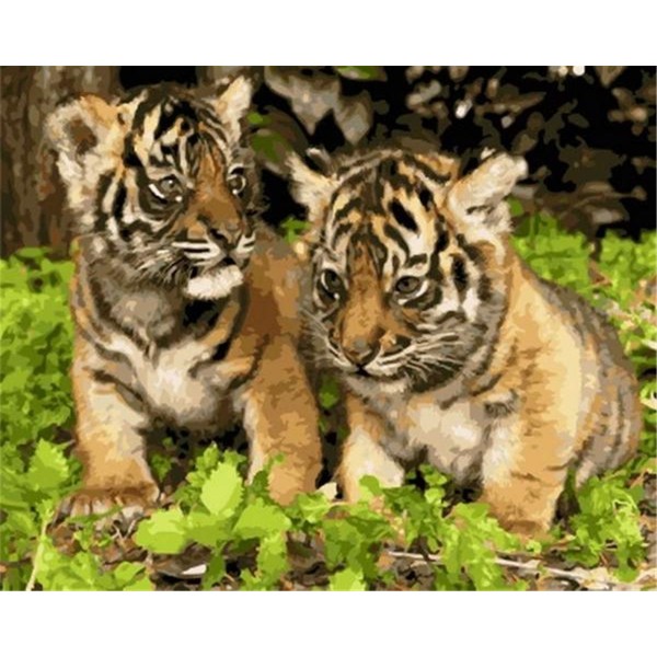 Two little tigers Painting By Numbers UK