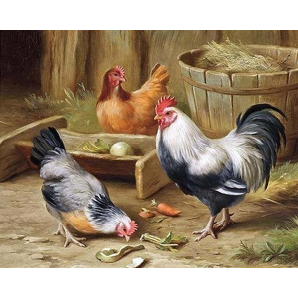 Animal hen and rooster Painting By Numbers UK