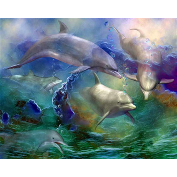 Animal dolphins Painting By Numbers UK