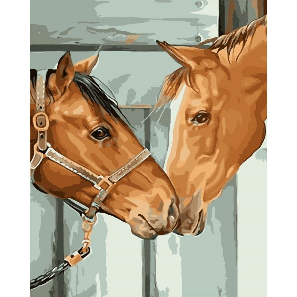 Two affectionate horses Painting By Numbers UK