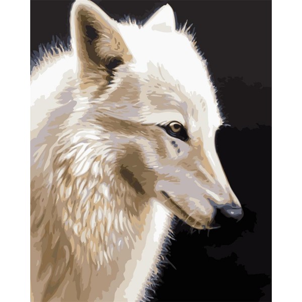 Arctic wolf Painting By Numbers UK