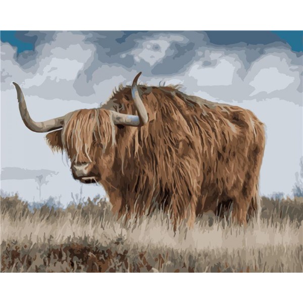 Yak Painting By Numbers UK