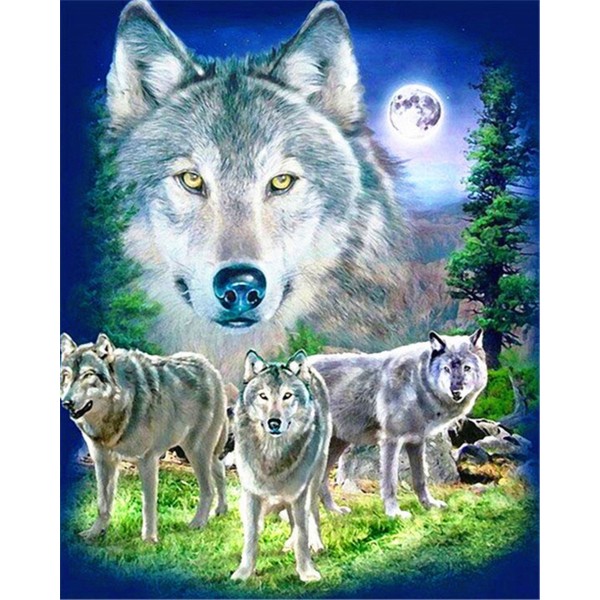 Animal gray wolves Painting By Numbers UK
